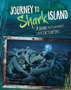 journeytosharkisland