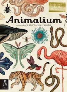 animalium