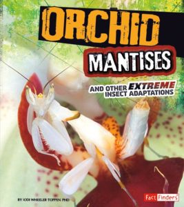 Orchid Mantises and Other Extreme Insect Adaptations