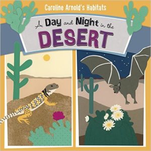 A Day and Night in the Desert