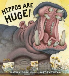 Hippos Are Huge