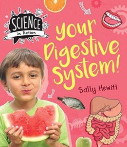 Your Digestive System