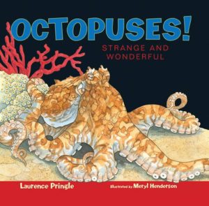 octopuses-strange-and-wonderful