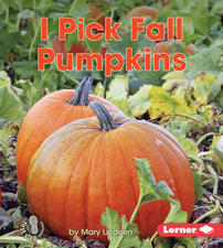 i-pick-fall-pumpkins